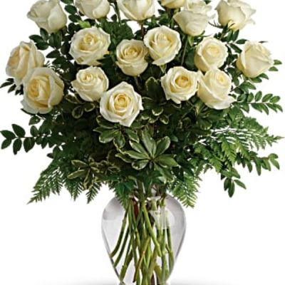 Your Love & Devotion delivered. Surprise your special one with this gorgeous arrangement of white roses available in one dozen, 18 roses or two dozen beautiful blooms.

It’s a an unforgettable display of your timeless love that they'll always remember.
