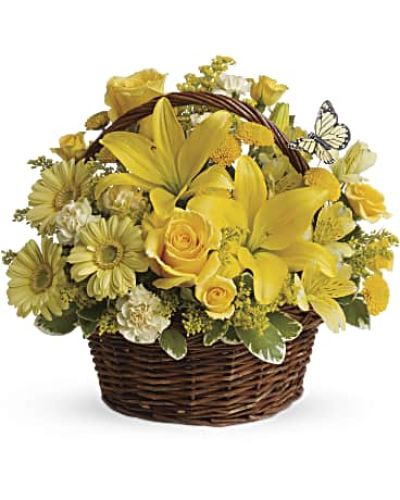<div class="m-pdp-tabs-description">
<div id="mark-1" class="m-pdp-tabs-marketing-description">Wishes do come true, by the basketful, actually. This delightful arrangement is so full of sunny blossoms, it even includes a pretty yellow butterfly who obviously feels right at home, basking in the warmth.</div>
</div>
<p id="arrngDescp">Brilliant yellow spray roses, asiatic lilies, miniature gerberas, carnations, alstroemeria, button spray chrysanthemums and delightful greenery are joined by a delicate butterfly in an oval basket. It's a basket of wonder and wishes!</p>
