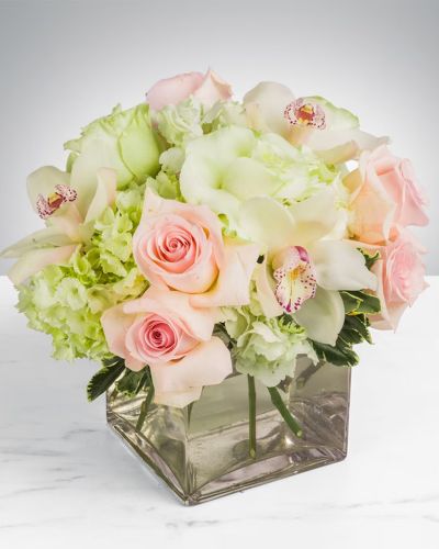<p>Pinks roses white hydrangeas white roses and more fill this lush cube with elegant blooms.</p>