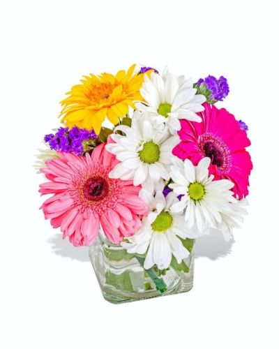 <p>What a wonderful dash of color this arrangement is! Featuring white daisies and an assortment of vibrant Gerbers, this beautifully cute combination of colors will brighten anyone's day! Let someone know how much they mean to you with this simply gorgeous gift.</p>