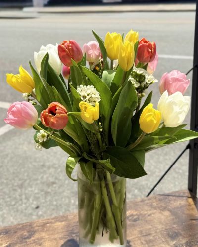 <p>Twenty stems of fresh brightly colored tulips in clear glass vase</p>