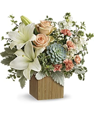 <div id="mark-3" class="m-pdp-tabs-marketing-description">Reminiscent of a desert sunrise, this modern mix of peach blooms, white lilies and succulents is a super chic statement in a natural bamboo cube.</div>
<p>Peach roses, white asiatic lilies, peach miniature carnations, and white stock are accented with pitta negra, dusty miller, and a green echeveria succulent.</p>